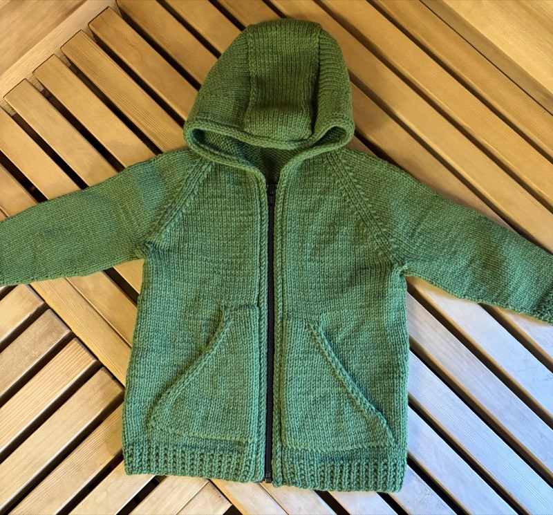 Dinosaur Explorer Hooded Cardigan for JS