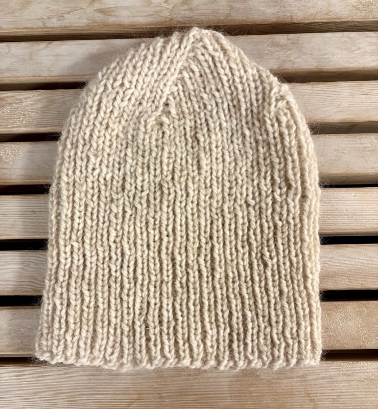 On the C Train x4 for MS